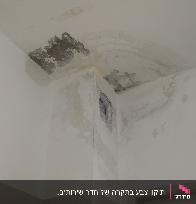 כתמי רטיבות ועובש על קיר ותקרה